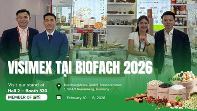 BIOFACH 2026, le salon leader mondial : une confirmation de la position de VISIMEX à l'échelle mondiale dans le domaine des produits agricoles biologiques.
