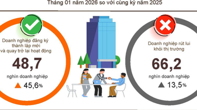 2026 januárjában az újonnan alapított vállalkozások száma 126%-kal nőtt.