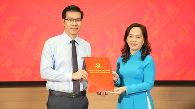 El profesor asociado Tran Trong Dao ha sido nombrado secretario del Comité del Partido de la Universidad Ton Duc Thang.