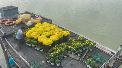 कु लाओ चाम द्वीप पर टेट (चंद्र नव वर्ष) से ​​संबंधित सामान की डिलीवरी।