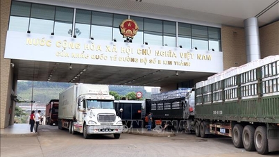Businesses fear a recurrence of customs clearance congestion after April 15th and propose increased post-clearance inspections.