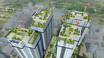Where do people register to buy or rent houses at the Ly Thuong Kiet social housing project?