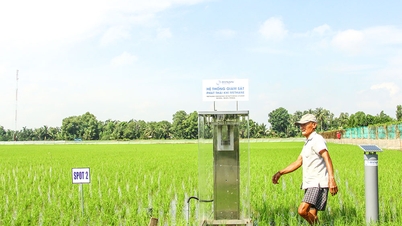 Thúc đẩy phát triển nông nghiệp xanh