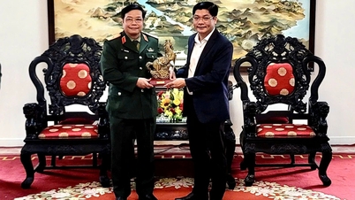 ผู้นำเมืองเว้ให้การต้อนรับคณะผู้แทนที่มาเยือนและกล่าวคำอวยพรปีใหม่