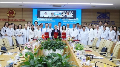 Trường ĐH Cửu Long hợp tác với đối tác đến từ Nhật Bản để đào tạo tiến sĩ