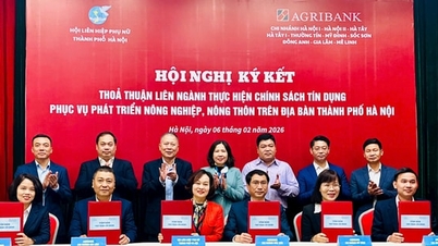 សហភាពនារីហាណូយ សហការជាមួយធនាគារ Agribank សម្រេចបានសមតុល្យប្រាក់កម្ចីជាង ៦១០ ពាន់លានដុង។
