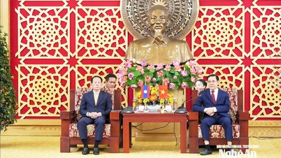 Líderes de la provincia de Bolikhamsai, Laos, visitan y extienden saludos de Año Nuevo a la provincia de Nghe An.
