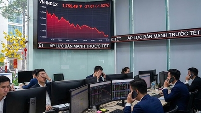 Dòng tiền rút mạnh trước Tết 2026 , thị trường chứng khoán Việt Nam chìm trong sắc đỏ