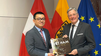 Botschafter Vu Le Thai Hoang stattete dem Ministerpräsidenten von Kärnten einen Höflichkeitsbesuch ab und führte Gespräche mit lokalen Unternehmen.