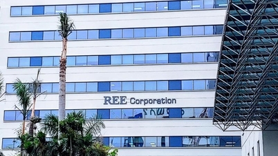 Cơ điện lạnh (REE) tạm ứng cổ tức tiền mặt 10%