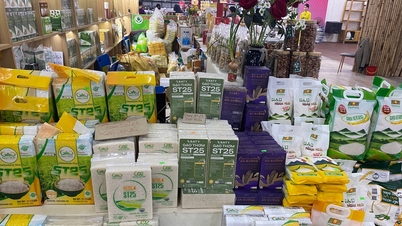 Cerimônia de abertura da Feira de Primavera de Binh Ngo 2026: Uma experiência de compras alegre para o Tet - Uma celebração perfeita da primavera