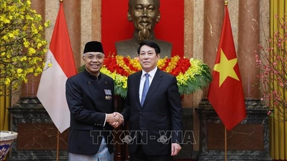 Luong Cuong elnök fogadja Indonézia és a Fülöp-szigetek nagykövetét, akik átadják megbízólevelüket.