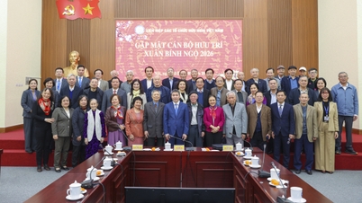 Vietnam Union of Friendship Organizations: Strong Innovation in the New Development Stage