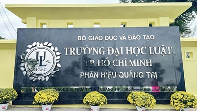 Et universitet fusjonerte med Ho Chi Minh-byens juridiske universitet.