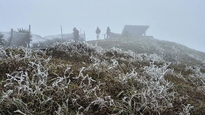 En stark kallfront är prognoserad, vilket kan orsaka frost.