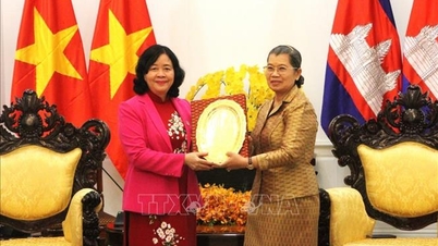 វៀតណាម និងកម្ពុជា ពង្រឹងទំនាក់ទំនងសហប្រតិបត្តិការរវាងអង្គការរណសិរ្សទាំងពីរ។
