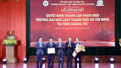 Ho Chi Minh Şehri Hukuk Üniversitesi'nden profesörler ve önde gelen doktorlar doğrudan Quang Tri'de ders verecekler.