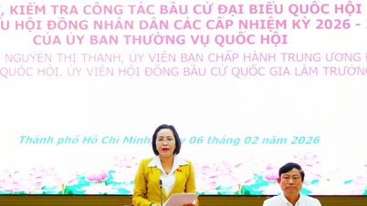 Ulusal Meclis Başkan Yardımcısı Nguyen Thi Thanh, Ho Chi Minh şehrinde seçim çalışmalarını denetliyor ve inceliyor.