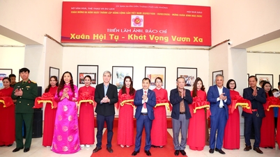 Triển lãm ảnh, báo chí 'Xuân hội tụ - Khát vọng vươn xa' tại Hải Phòng
