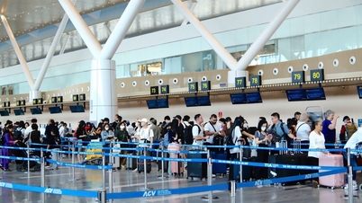 Se așteaptă ca Aeroportul Tan Son Nhat să primească 145.000 de pasageri pe zi în timpul Anului Nou Lunar (Anul Calului) din 2026.