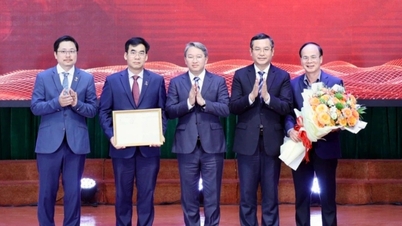 Sáp nhập một trường Luật vào Trường Đại học Luật TPHCM