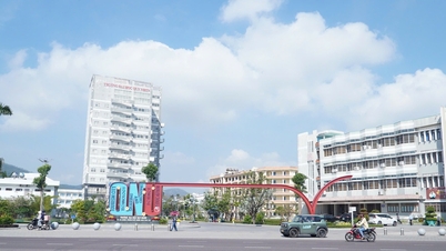 Universitas Quy Nhon memiliki 10 program lagi yang telah memperoleh akreditasi kualitas.