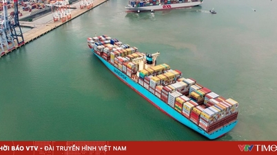 Tháng 1/2026, kim ngạch xuất khẩu tăng gần 30% so với cùng kỳ năm trước