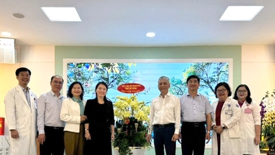 Het ministerie van Volksgezondheid van Lam Dong bracht een bezoek aan zorginstellingen in Ho Chi Minh-stad en wenste hen een gelukkig nieuwjaar.