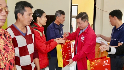 សមាគមកាកបាទក្រហមក្រុងបានសម្របសម្រួលការចែកចាយកញ្ចប់អំណោយបុណ្យតេត (បុណ្យចូលឆ្នាំចិន) ចំនួន ៣០០ នៅក្នុងតំបន់សេដ្ឋកិច្ចពិសេសកាតហៃ។