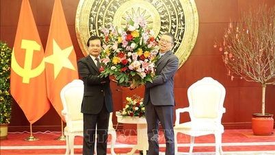 Fortalecer los estrechos lazos y la confianza entre las misiones diplomáticas de Vietnam y Laos.