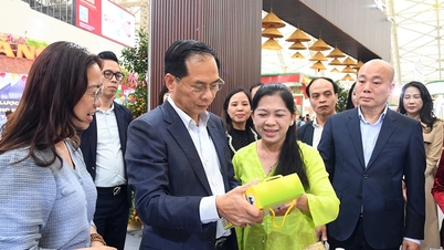 Timbalan Perdana Menteri Bui Thanh Son melawat dan membeli-belah di Pesta Musim Bunga 2026.