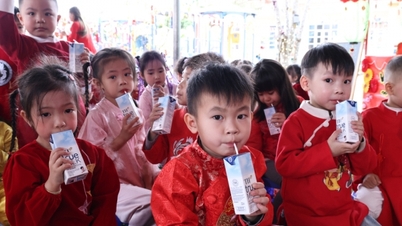 La comuna de Dam Ha implementa eficazmente el programa de leche escolar de acuerdo con la Resolución 86 del Consejo Popular Provincial.