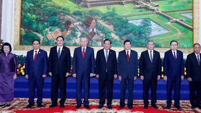 Vietnamul, Laosul și Cambodgia continuă să își consolideze solidaritatea.
