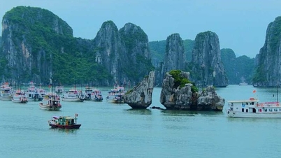 Egy átfogó digitális média ökoszisztéma létrehozása Vietnam imázsának népszerűsítése érdekében a világban.