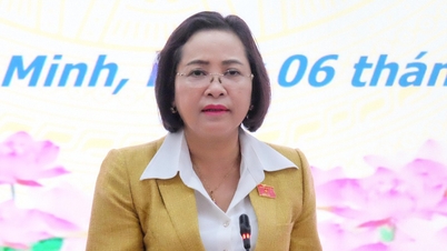 Le vice-président de l'Assemblée nationale : Hô Chi Minh-Ville poursuit le travail électoral comme prévu et entre dans la phase finale.