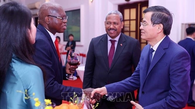 Akademik diplomasiyi teşvik etmek ve Vietnam'ın uluslararası arenadaki prestijini artırmak.