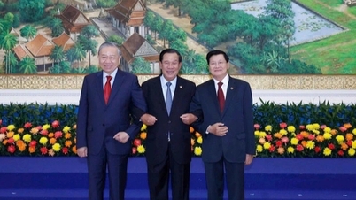 Vietnam prioriza el desarrollo de relaciones con Camboya y Laos.
