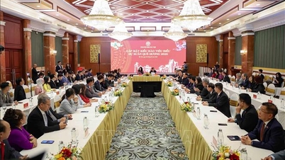 Başkentin sürdürülebilir kalkınması için yurtdışındaki Vietnamlı aydınları bir araya getirmek.