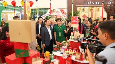 ৬ ফেব্রুয়ারি, ২০২৬ তারিখের ভিয়েতনামের অর্থনৈতিক সংবাদের উল্লেখযোগ্য অংশ
