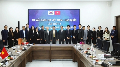 12ª Reunião Consultiva Consular Vietnã-Coreia: Cooperação Abrangente, Substancial e Eficaz