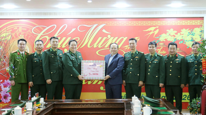 Bí thư Tỉnh ủy Quảng Ninh thăm, chúc Tết cán bộ, chiến sĩ lực lượng vũ trang và nhân dân khu vực biên giới