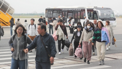 L'aéroport international Cat Bi met en œuvre de manière proactive des mesures de quarantaine sanitaire pour empêcher l'entrée du virus Nipah.