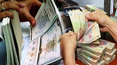 Ocak ayında devlet tahvili piyasası ihaleler yoluyla 26.046 milyar VND topladı.