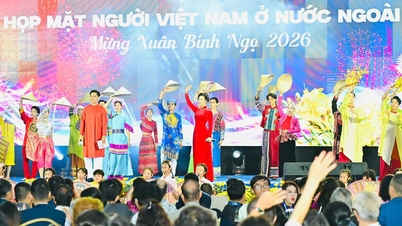 Võ Hạ Trâm, Hiền Thục biểu diễn chương trình họp mặt kiều bào mừng Xuân Bính Ngọ