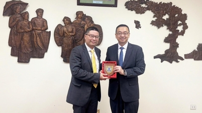 Le directeur du département consulaire, Doan Hoang Minh, reçoit le directeur du département de l'immigration de Hong Kong (Chine).