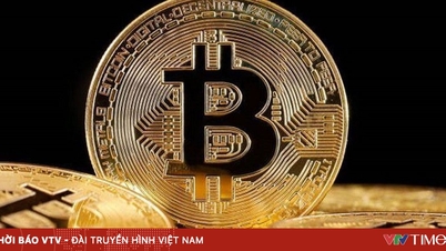 बिटकॉइन की कीमत एक बार फिर 65,000 डॉलर के पार पहुंच गई है।