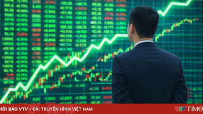 Việt Nam trước ngưỡng cửa định hạng đầu tư: Cuộc bứt tốc ngoạn mục