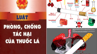 ສົ່ງເສີມການປ້ອງກັນ ແລະ ຄວບຄຸມຜົນກະທົບທີ່ເປັນອັນຕະລາຍຂອງຢາສູບຕໍ່ສຸຂະພາບຂອງປະຊາຊົນ.