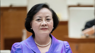 Vice premiärminister Pham Thi Thanh Tra har ett nytt uppdrag.