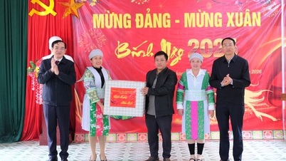 La délégation provinciale a offert des cadeaux et présenté ses vœux de Nouvel An aux habitants du hameau de Sac Nga, commune de Quang Lam.